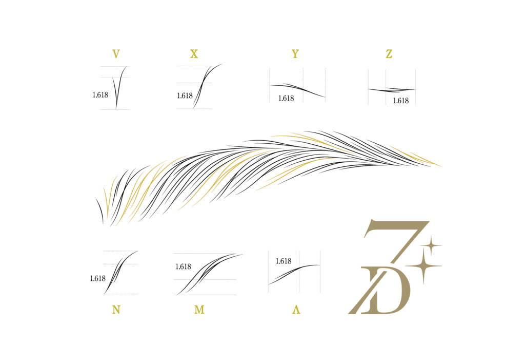 7Dストロークの7種類の曲線パターン